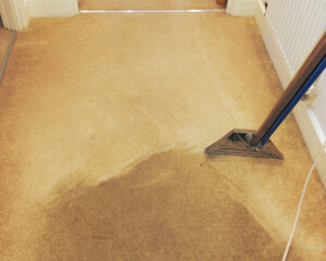 Carpet cleaning Enfield EN