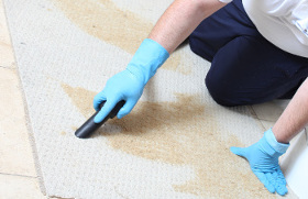 Carpet cleaning Surrey Docks SE16