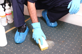 Carpet cleaning Shepherds Bush W12