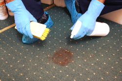 Deep carpet cleaning